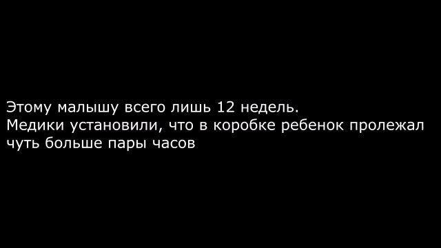 Его бросили в холодный подвал в разгар лютой зимы… Если бы не эта кошка, то он бы просто не выжил! смотреть онлайн