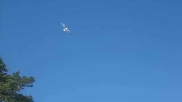 С любовью не спорят смотреть онлайн