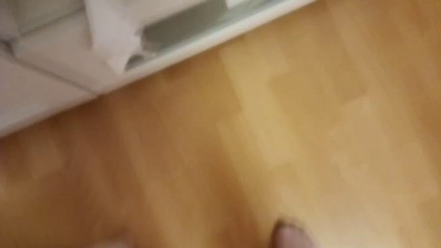 Что нужно для появления щенка папильона смотреть онлайн