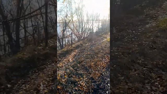 речка Мезень! смотреть онлайн