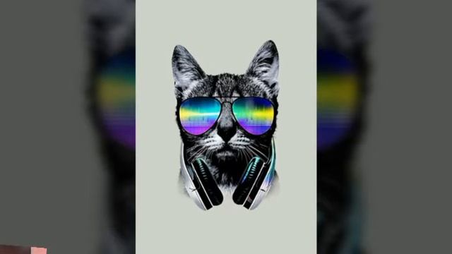 Клевые котики существа которые живут на нашей планете а в египте ведь они считались святыми смотреть онлайн