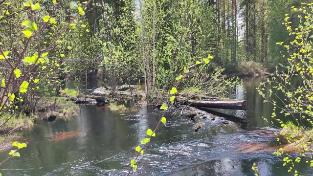 У реки...
Видеопоэзия. Читает автор А. Шведун. 
Монтаж, соло-гитара О. Дзиов.