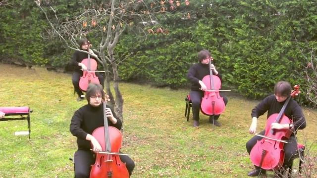 Riccardo Pes - Yellow Leaves in November (for 5 cellos, flute and basson) смотреть онлайн