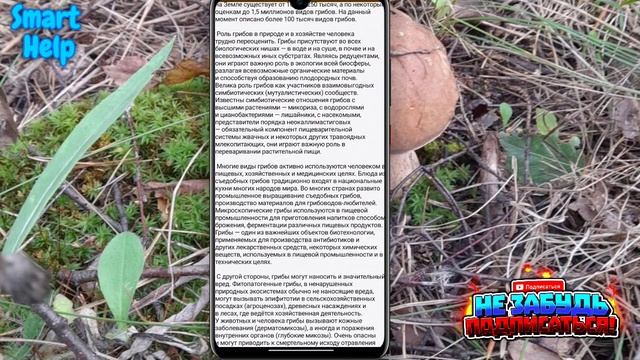 Грибы Pro?- справочник грибника ? смотреть онлайн