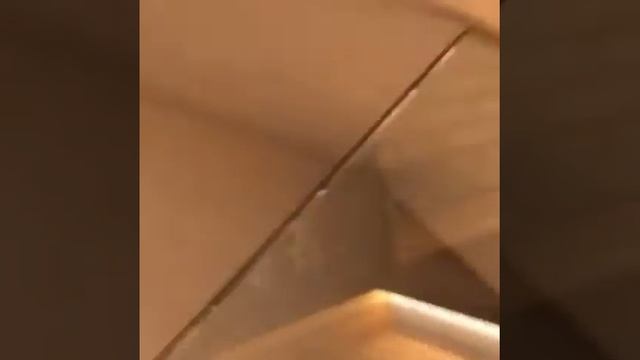 Цельностеклянные ограждения на несущем стекле. смотреть онлайн