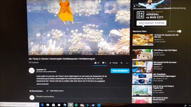 Neues Aquarium? | Scheiben putzen | Gewinnspiel Auslosung смотреть онлайн