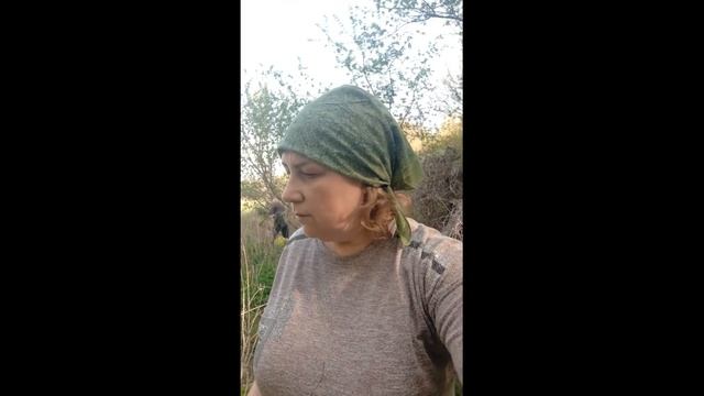 1МАЯ! ДИКИЕ ТЮЛЬПАНЫ и ЧЁРНЫЕ ЗМЕИ вокруг смотреть онлайн