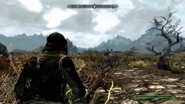 TES 5 Skyrim с линком ( глава 1 , часть 1 ) смотреть онлайн