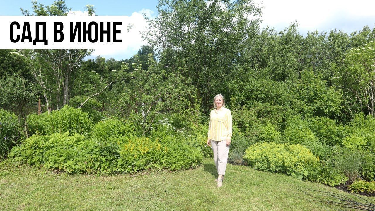 Сад в июне / Полный обзор сада в природном стиле смотреть онлайн