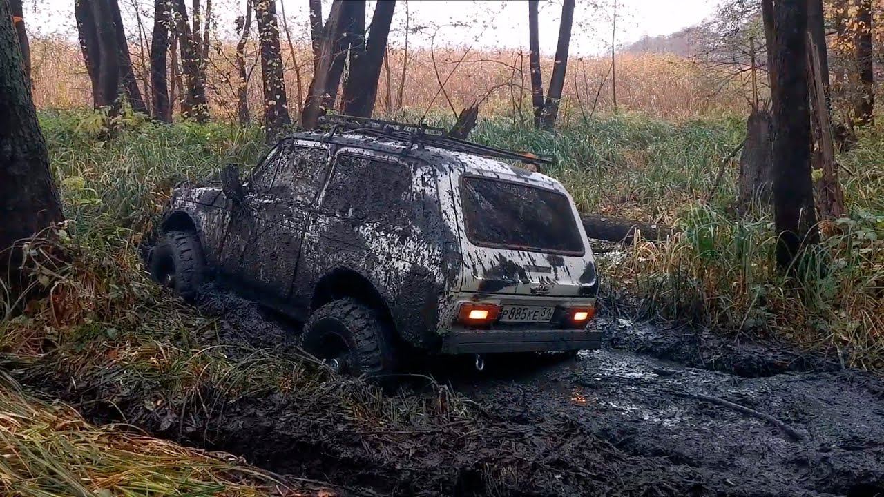 Чернолесье и хвойный лес в Двулучном | Оффроуд Валуйки смотреть онлайн