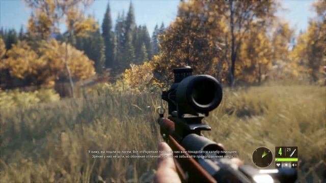 ТЕСТИМ ЛАБАЗ И ТРИПОД✔️ theHunter: Call of the Wild #2 смотреть онлайн