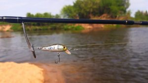 Выезд за голавлем. Голавль на воблеры. Рыбалка с ночевкой.