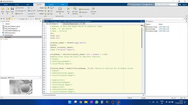 Order Statistic (Non-Linear) Filters | Salt and Pepper Noise (with MATLAB implementation) смотреть онлайн