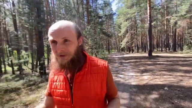 Прогулочная беседа о коршунах, гусях и взаимоподдержке смотреть онлайн