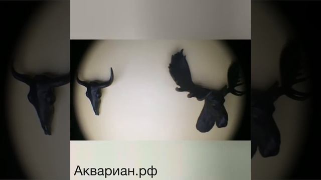 Декор стен, светильники декоративыне, стеновой декор. смотреть онлайн