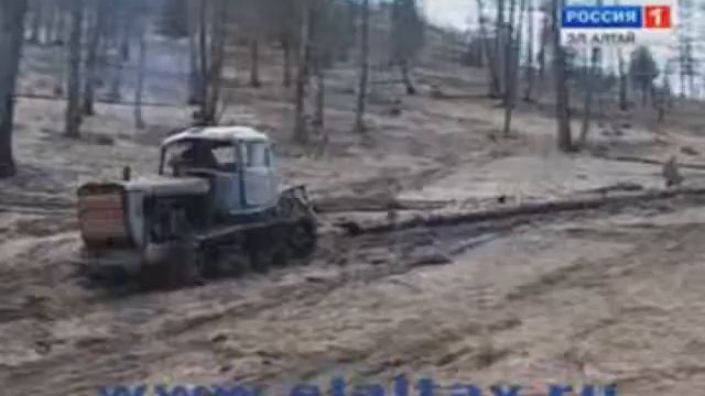 ПРЕСЕЧЕНИЕ НЕЗАКОННЫХ ВЫРУБОК ЛЕСА смотреть онлайн