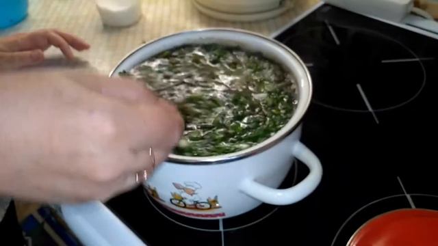 Суп со щавелем ... //  Чтобы совсем не замерзнуть //  Покупки