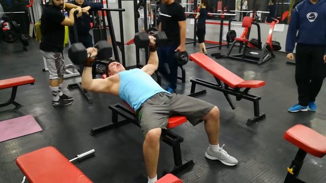 Жим гантелей в @gymmm.ast смотреть онлайн