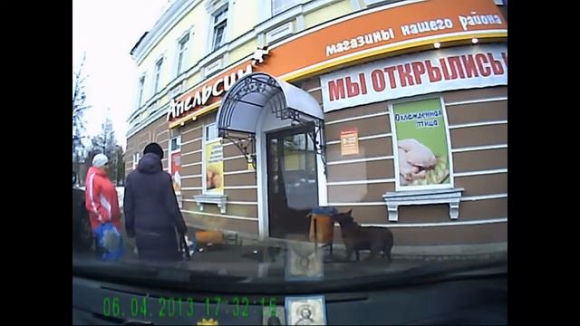 собака и мусор смотреть онлайн