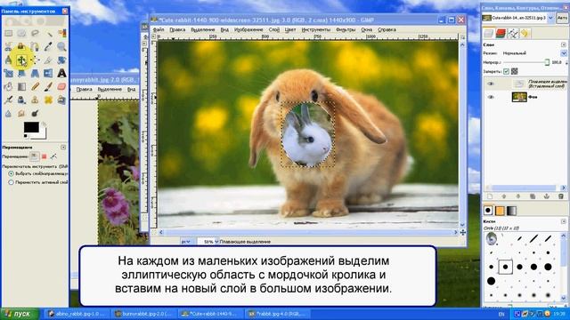 Кролики в Gimp смотреть онлайн