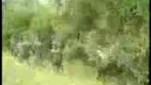 Видео с моего телефона смотреть онлайн