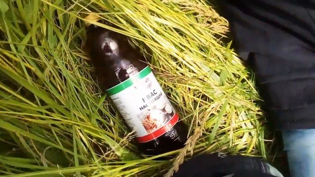 Трасса М-10 Россия в Новгородской области и наши баулы. АвтоСтопом на Юг смотреть онлайн