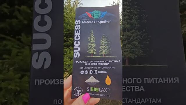 А Вы знаете полезные свойства хвойных деревьев? #successsiberia смотреть онлайн