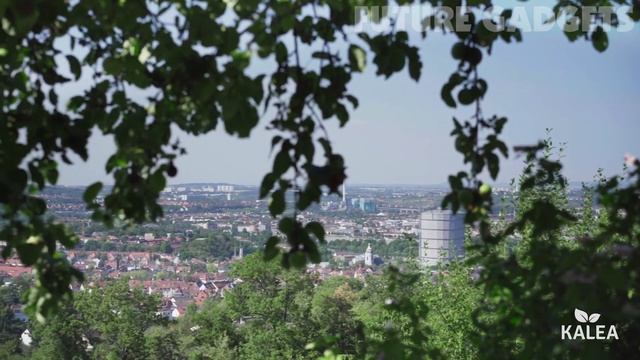 Top 5 Best Electric Kitchen Composter You Can Buy in 2023 смотреть онлайн