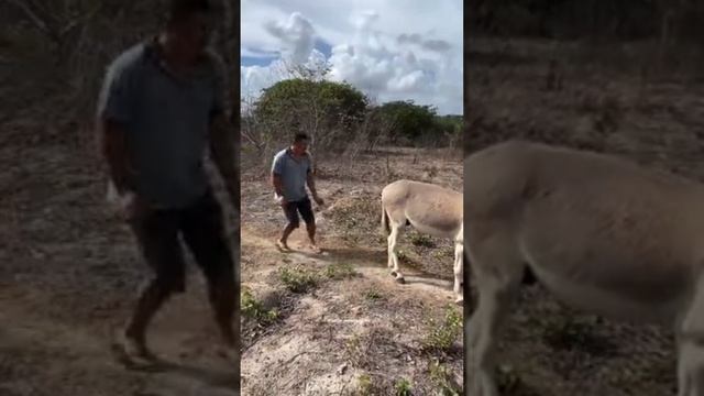 Только Юмор