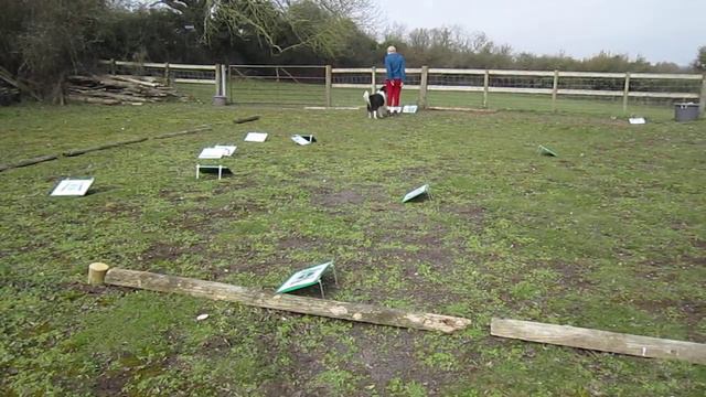 Mar 21 Robin L5 Go Main смотреть онлайн