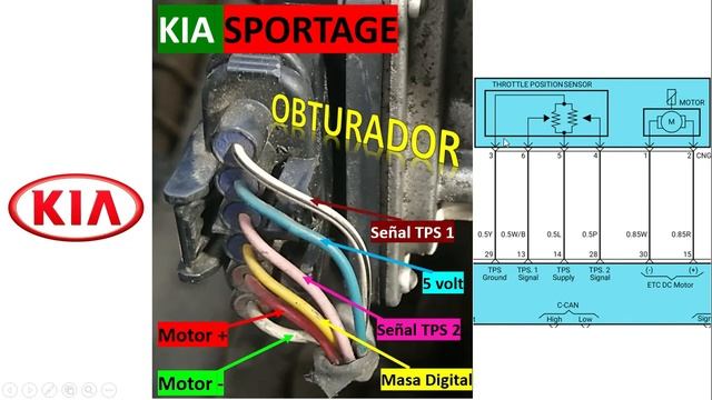 Kia Sportage diagrama de OBTURADOR смотреть онлайн