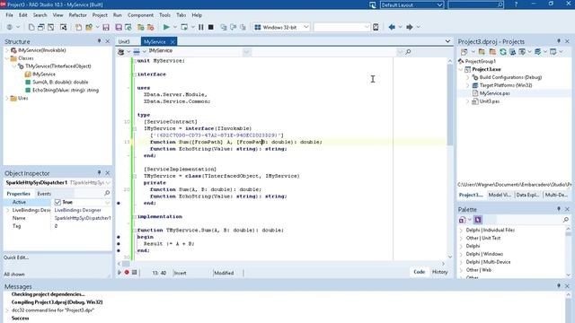 TMS XData 4.5 - Parameter Binding and SwaggerUI смотреть онлайн