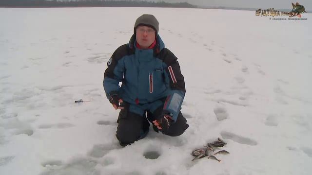 Балда, блесна, озерный окунь. Практика ловли с Валерием Сикиржицким. Выпуск 41 смотреть онлайн
