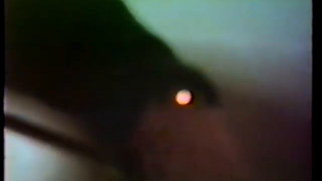 A Day in the Life of Huntington 1983 *Southsider edition part 2 смотреть онлайн