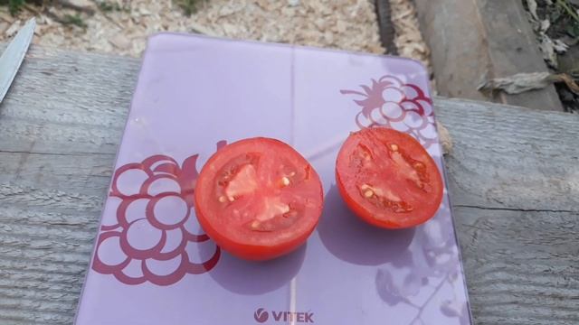 Томат ""ПРИМОРЕЦ""??? смотреть онлайн