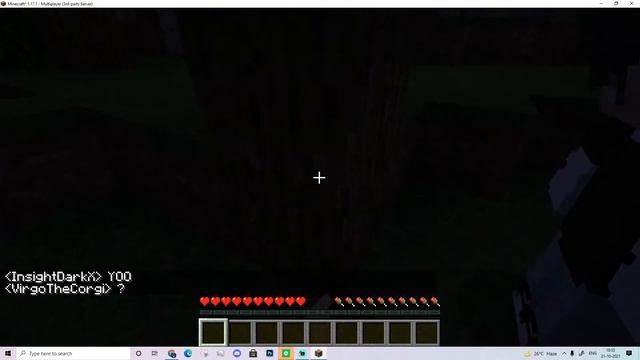 ? ROBLOX SERVERS ARE DOWN! PLAYING MINECRAFT WITH VIEWERS | | Insight DarkX смотреть онлайн
