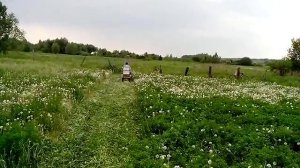 Мотоблок Нева косим с адаптером.