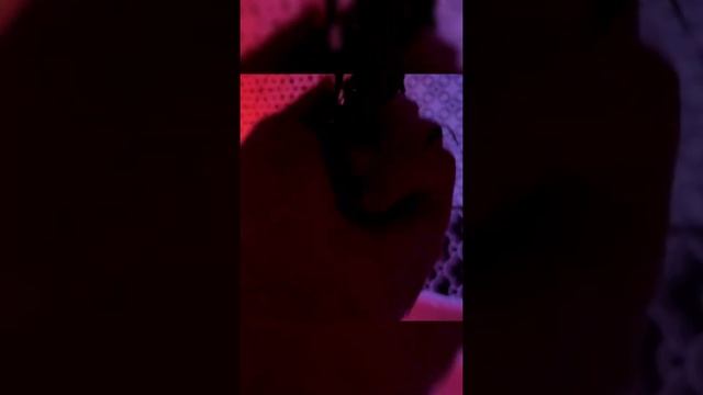 видео для конкурса Curl Rock And Roll