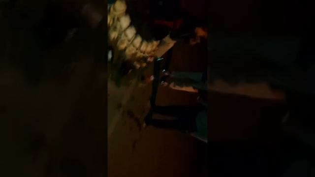 Донец снимает пьяную)