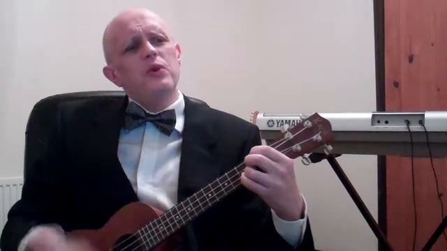 Always Look on the Bright Side of Life: Monty Python - Ukulele Cover смотреть онлайн