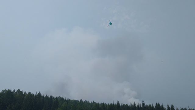 Парашютисты