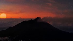 Mitski - my Love Mine All Mine (Lyrics)