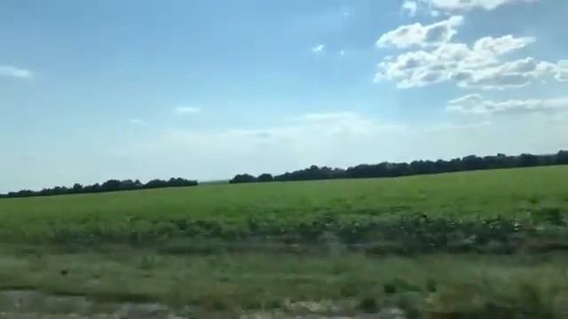 Vlog🥵/ Поездка в Феодосию 🤩 смотреть онлайн