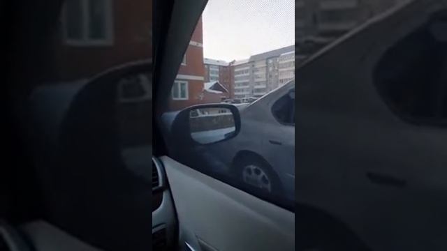 Автошторки Toyota Premio смотреть онлайн