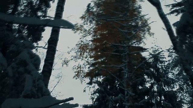 Горе!!! для всех любителей приборного поиска. смотреть онлайн