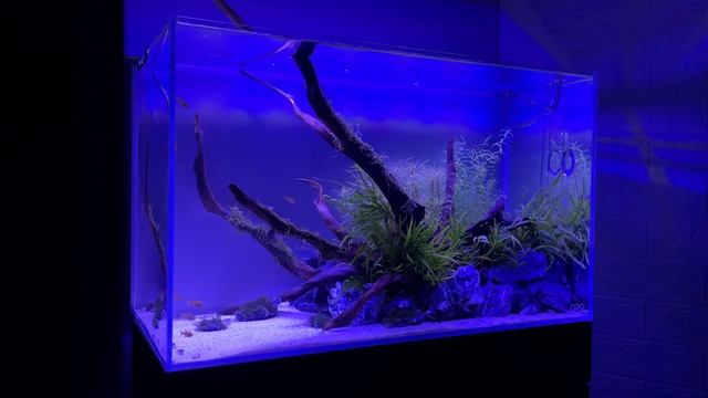 NICREW Full Spectrum Planted LED Aquarium Light смотреть онлайн