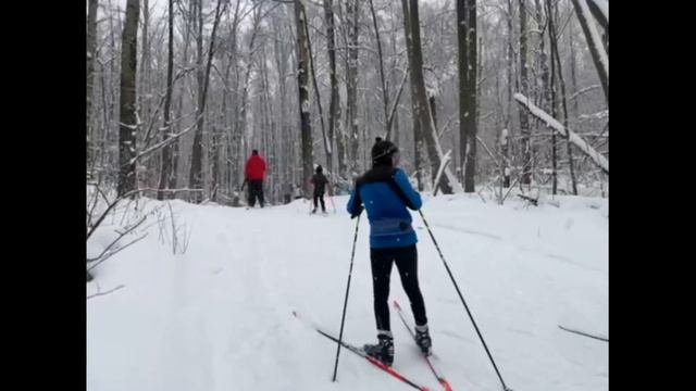 Основы спуска и подъема на лыжах смотреть онлайн