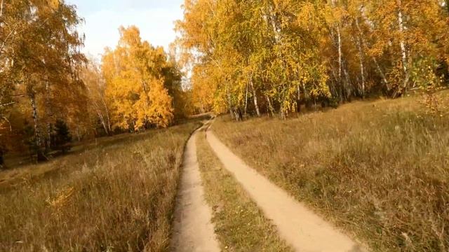 Осенний велопроменад смотреть онлайн