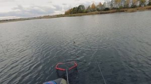 Как поймать щуку в коряжнике. Ловля на джиг в корчах