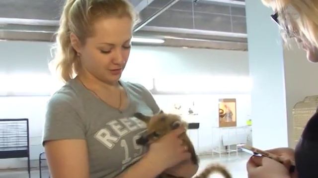 Контактный зоопарк смотреть онлайн